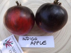 Indigo Alma paradicsom - Paradicsom különlegességek az Egzotikus Növények Stúdiója kínálatából